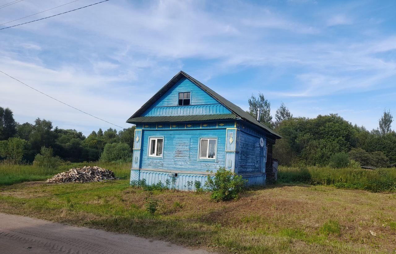 Мигрант, угрожавший женщине и детям граблями, задержан в деревне под Тверью Фото: соцсети