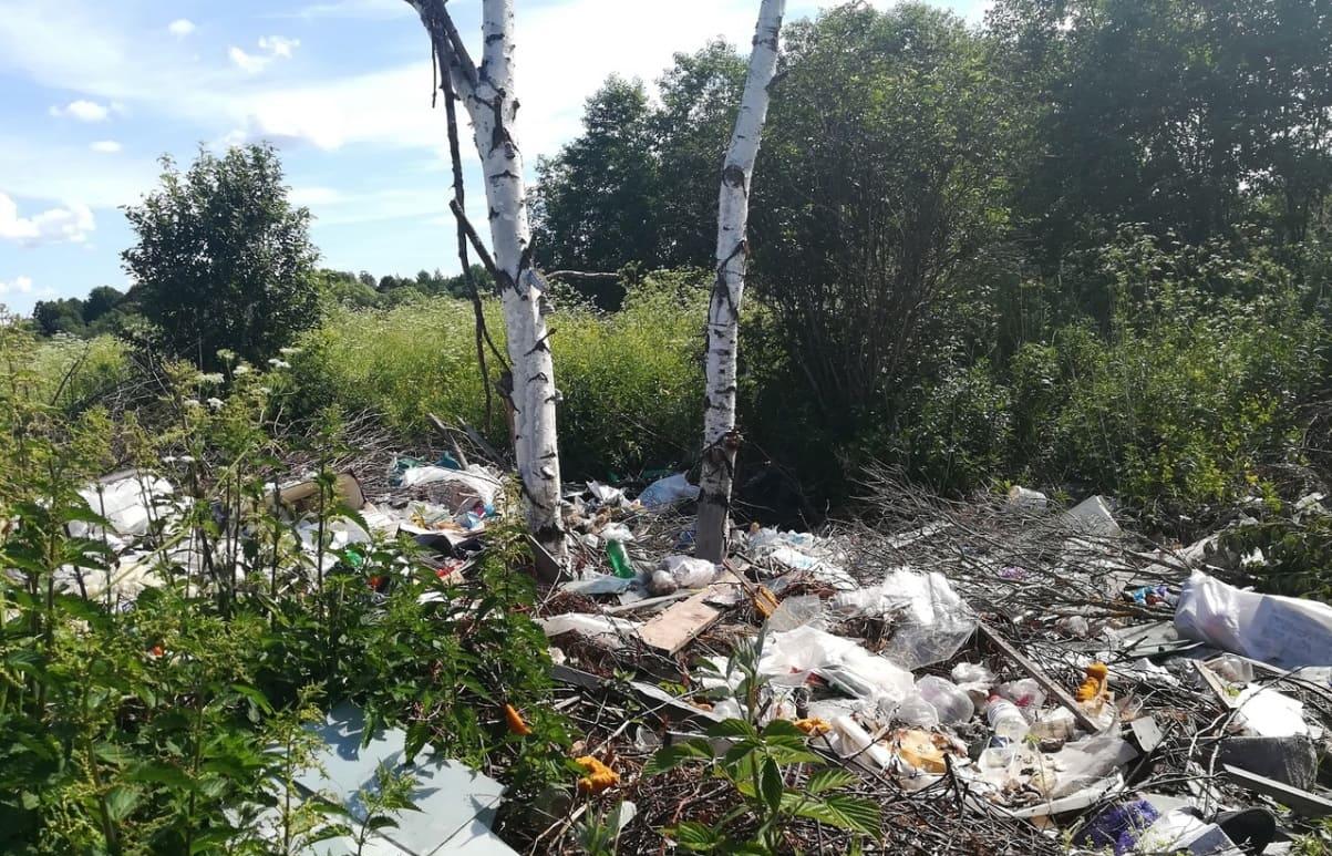 Владелец земли под Кимрами за неуплату штрафа оплатит сумму в двукратном размере первоначального начисления Фото: Россельхознадзор