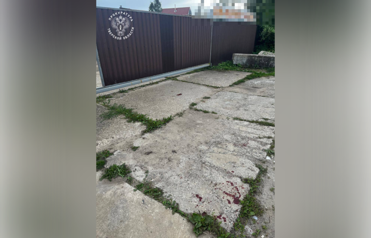 Виновного в гибели малыша в СНТ под Тверью заключили под стражу Фото: Прокуратура Тверской области