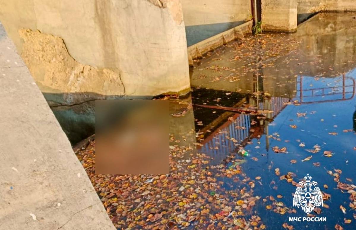 Из реки в Нелидово достали труп мужчины - новости Афанасий