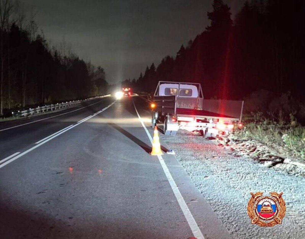 Пешеход погиб под колесами ГАЗели на «Золотом кольце» под Тверью Фото: ГАИ