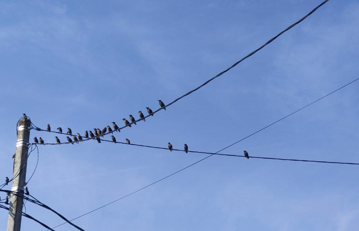 Погода в Твери сегодня расскажет, каким будет апрель Фото: архив редакции
