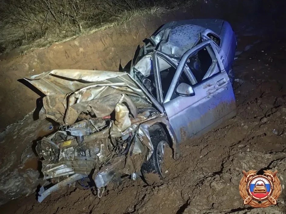 Два человека получили травмы в ДТП с лосем в Тверской области Фото: ГАИ