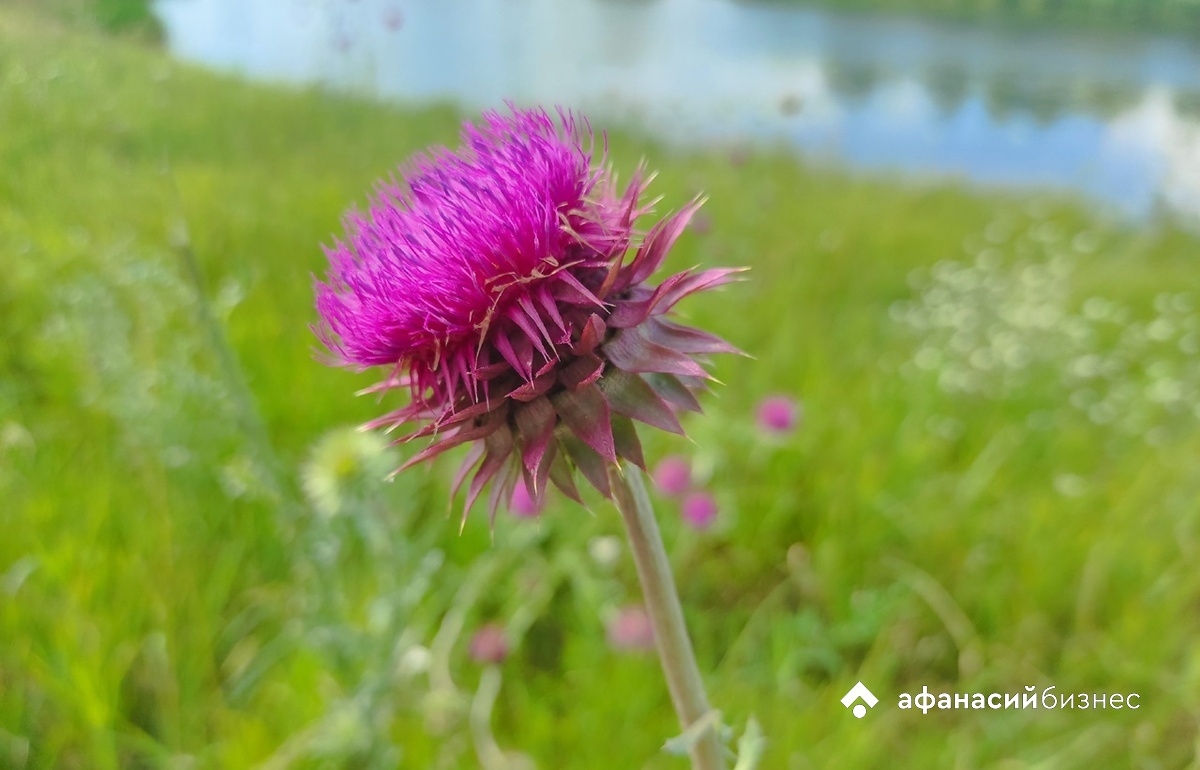 Погода в Твери начнет меняться 