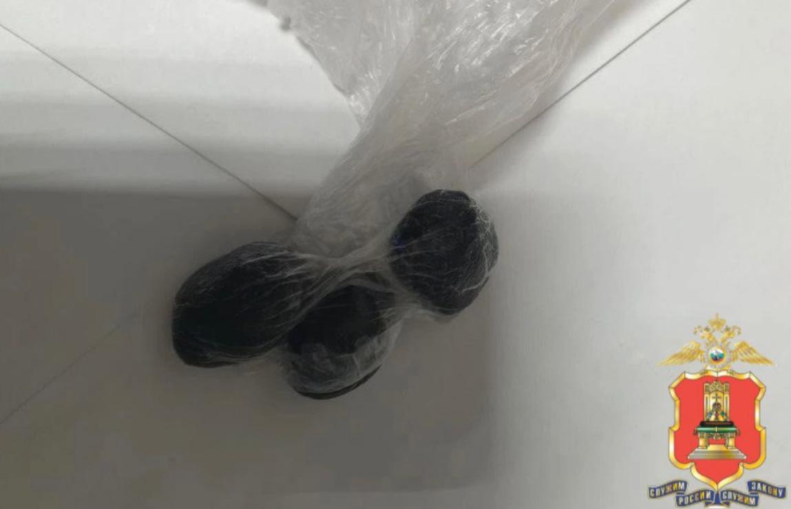 В Тверской области женщина прятала наркотики в нижнем белье - новости Афанасий