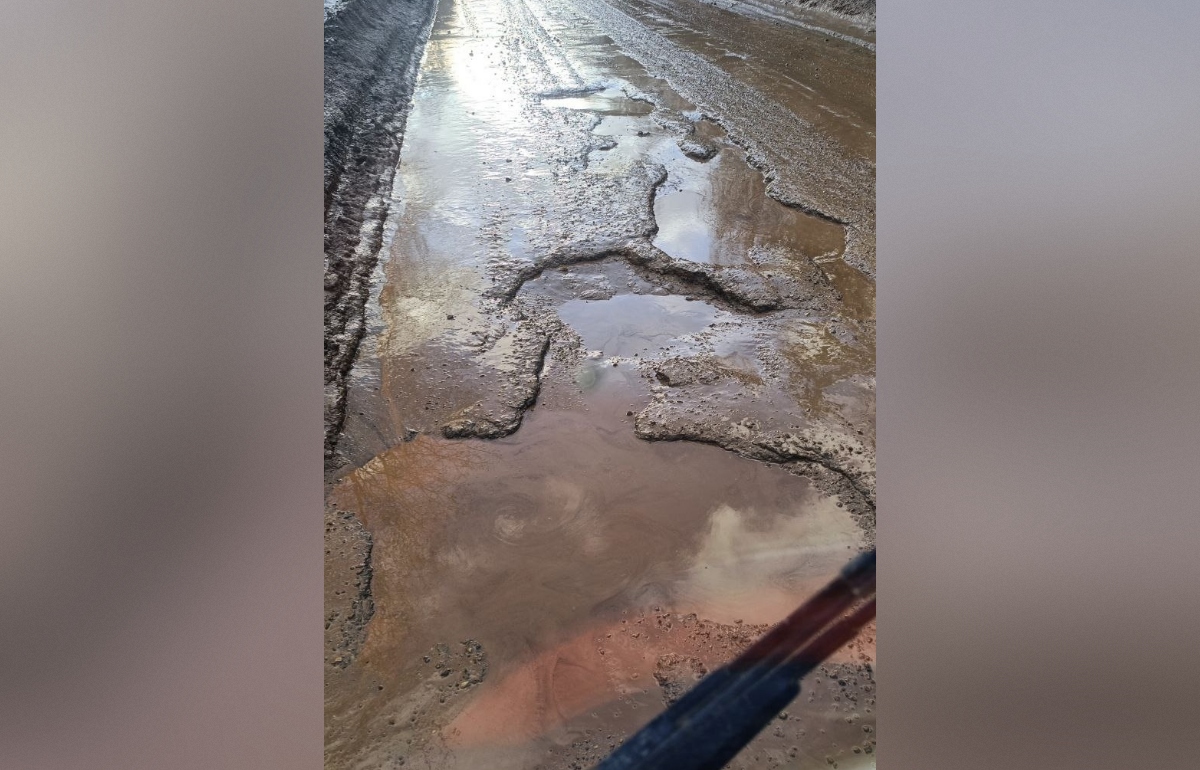 Бастрыкин поручил возбудить дело из-за плохой дороги в Вышневолоцком округе Фото, видео: соцмедиа