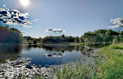 В Тверской области прогнозируется жара +35 градусов