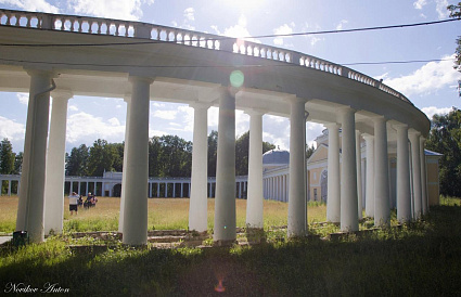 Еще 6 млн рублей направят на подготовку экспозиций в усадьбе Знаменское-Раек - новости Афанасий