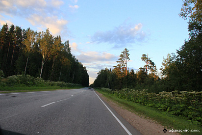 Новый закон обязывает землевладельцев бороться с борщевиком - новости Афанасий