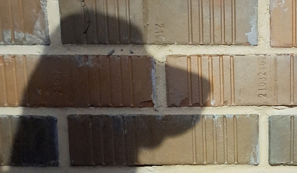 Самых популярных собак выбрали читатели «Афанасий-бизнес» - новости Афанасий