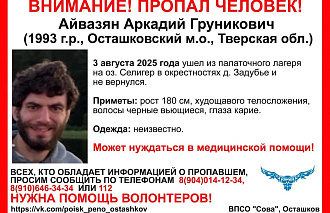 Из палаточного лагеря на Селигере пропал нуждающийся в медпомощи мужчина - новости Афанасий