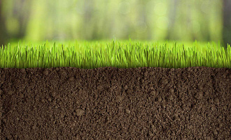 В Тверской области поменяли категории риска для сельхозземель  - новости Афанасий