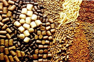 Из Тверской области вывезли 116 тонн кормов для животных в Узбекистан - новости Афанасий