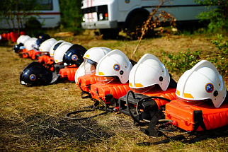 Стало известно, какие опции в соцпакете  востребованы  сотрудниками - новости Афанасий