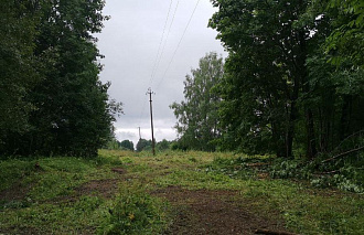В Тверской области энергетики продолжают расчистку просек под линиями электропередачи - новости Афанасий
