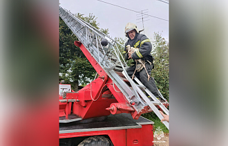 В Торопце сотрудники МЧС вернули родителям выпавшего из гнезда аистенка - новости Афанасий