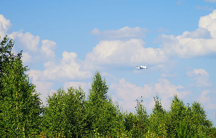 Лесоперерабатывающий завод в Торжке выставлен на торги - новости Афанасий