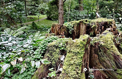 В воскресенье в Твери солнце скроется за тучами 