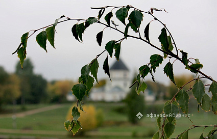 Журавли расскажут о погоде на октябрь 