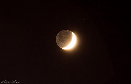 Жители Тверской области смогут увидеть затмение Луны