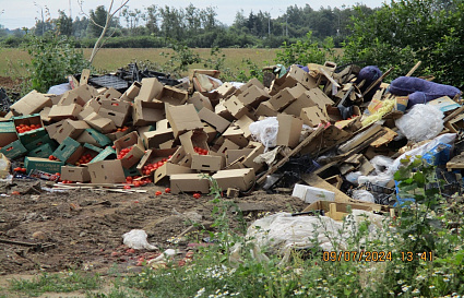 В Калининском районе ликвидировали несколько свалок овощей и шин - новости Афанасий