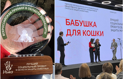 Тверской проект «Бабушка для кошки» признан лучшим социальным проектом в России - новости Афанасий