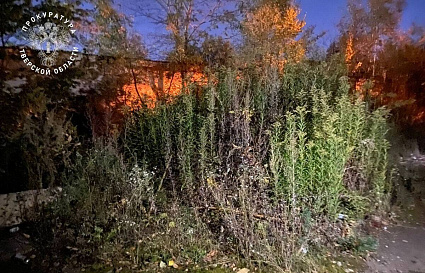 В Твери на Коминтерна нашли тело 14-летнего подростка - новости Афанасий