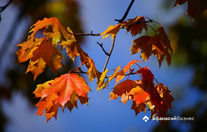 В Твери сегодня облачно, но тепло