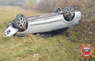 В Удомельском округе водитель избежал ДТП с лосем, но все же пострадал - новости Афанасий