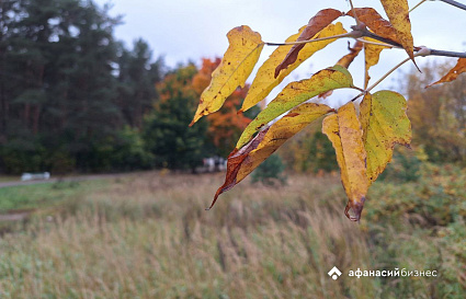 Сухая и теплая погода в Твери завершается