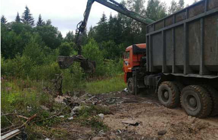 В Лихославльском районе убрали свалку из 13 тонн отходов - новости Афанасий