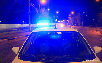 На М9 под Ржевом пострадала женщина в ДТП с лисой На М9 под Ржевом пострадала женщина в ДТП с лисой - новости Афанасий