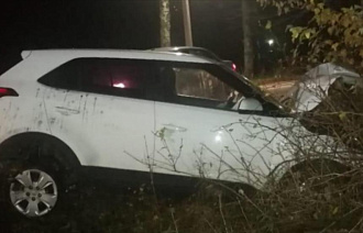 В Тверской области дерево остановило цыгана-автоугонщика под кайфом - новости Афанасий