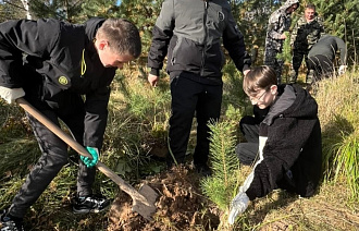 Более 507 тыс саженцев и сеянцев деревьев высажено в Тверской области - новости Афанасий