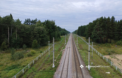 «Ласточка» задавила лося под Тверью  - новости Афанасий