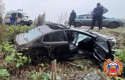 В ДТП с лосем в Тверской области на «Золотом Кольце» пострадали два человека - новости Афанасий