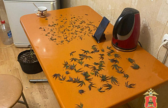 Житель Ржева оборудовал в своей квартире наркоферму Житель Ржева оборудовал в своей квартире наркоферму - новости Афанасий