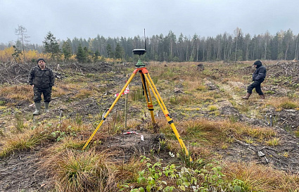 Арендатор в Рамешковском районе вырубил около 1 га «лишнего» леса - новости Афанасий