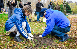 В Твери в парке на улице Королева высадили молодые дубы  - новости Афанасий