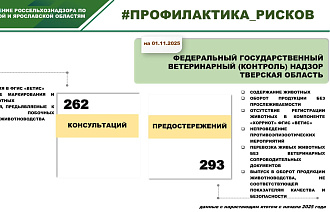 В 2025 году в Тверской области проверены 2000 проб от животных - новости Афанасий