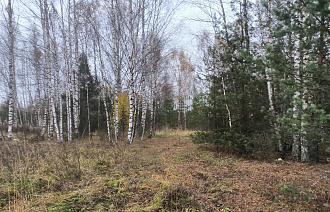 137 гектаров заростают в Молоковском округе - новости Афанасий