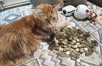 Жители Тверской области сдали в банки больше 1 млн монет - новости Афанасий