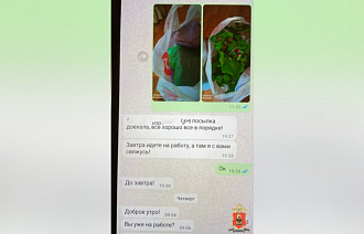 Пенсионерка из Бежецка спрятала деньги для мошенников в цветочном горшке - новости Афанасий