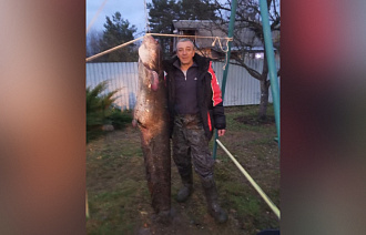 Сома-гиганта поймал рыбак в Тверской области - новости Афанасий