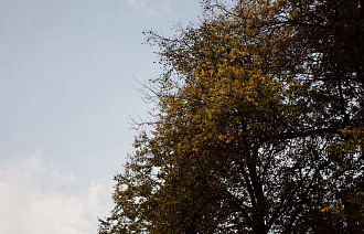 Прогноз погоды в Твери обещает похолодание к понедельнику