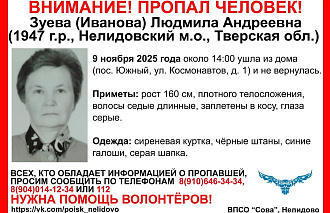 В Нелидовском округе пропала 78-летняя женщина - новости Афанасий