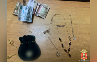 В Бологое влюбленный мужчина обворовал свою мать - новости Афанасий