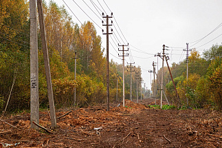 Тверские энергетики выправили и обновили 875 опор линий электропередачи - новости Афанасий