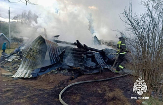 Женщина пострадала на пожаре в Бологовском районе - новости Афанасий