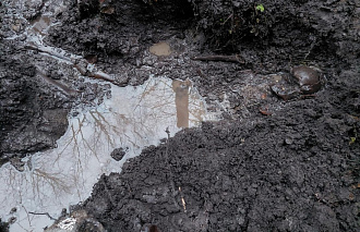 В Западнодвинском округе нашли останки солдата, погибшего в годы ВОВ - новости Афанасий